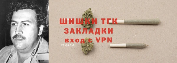 PSILOCYBIN Алзамай