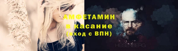 PSILOCYBIN Алзамай