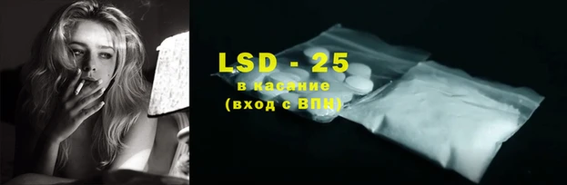 PSILOCYBIN Алзамай