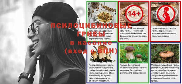 PSILOCYBIN Алзамай