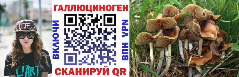 Галлюциногенные грибы ЛСД  Сосновый Бор 