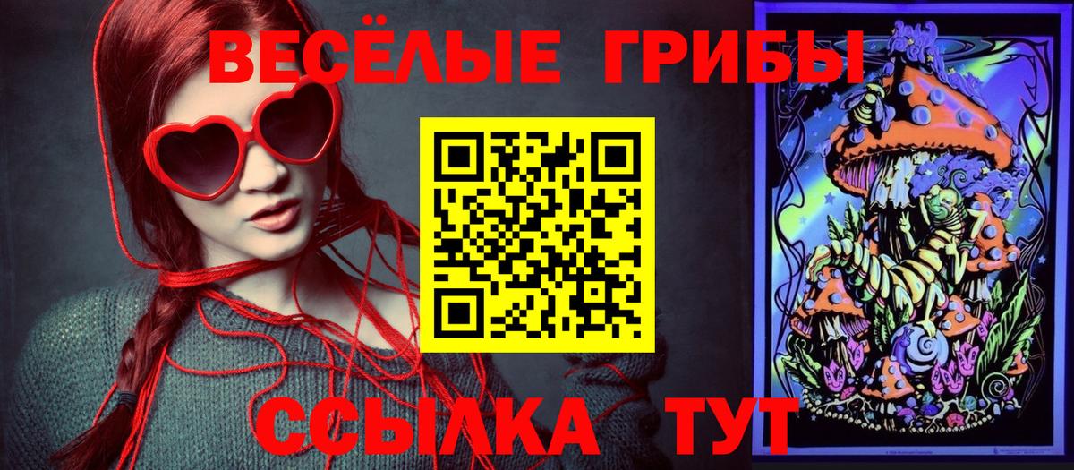 Галлюциногенные грибы Cubensis Сосновый Бор