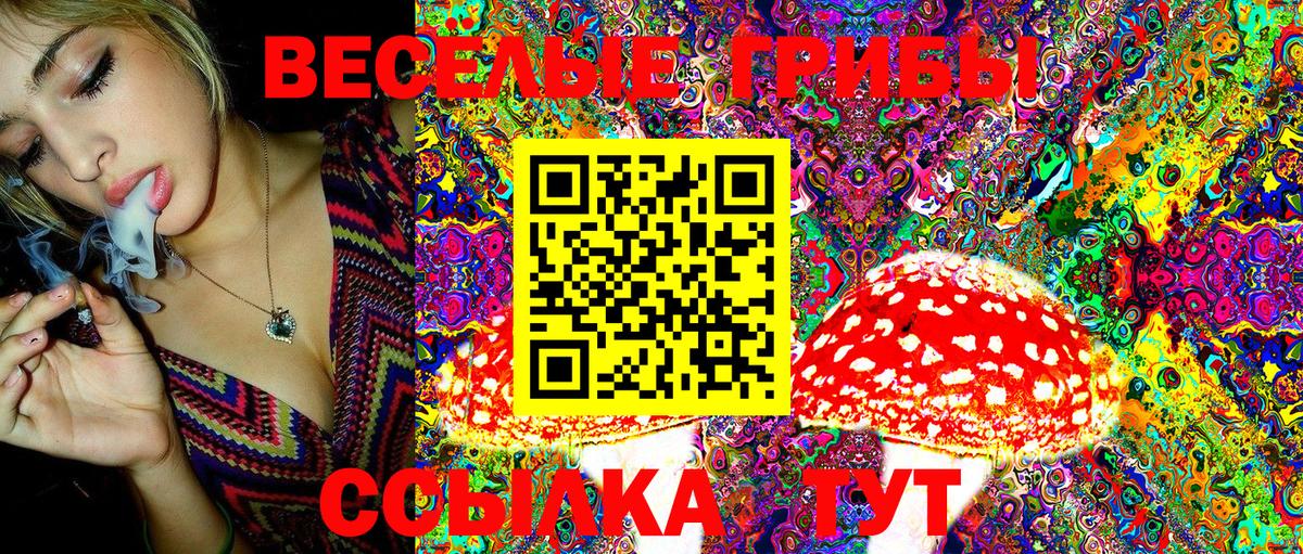 Псилоцибиновые грибы MAGIC MUSHROOMS  Вход с VPN  Галлюциногенные грибы Magic Shrooms  Сосновый Бор 